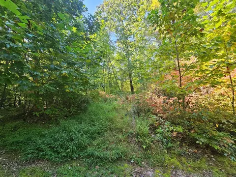 lot17 Fox Hollow Dr, Bastian, VA 24314