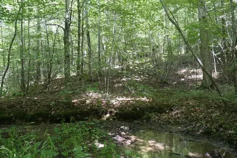 tbd State Route 606, Pennington Gap, VA 24265