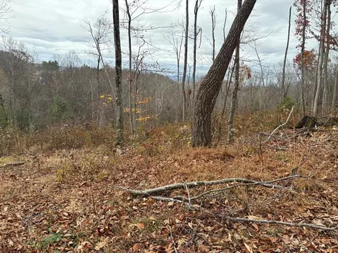 tbd Fill St, Pounding Mill, VA 24637