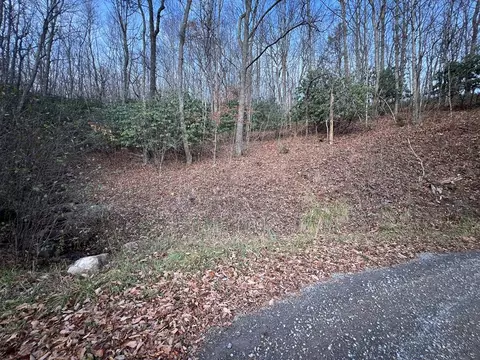 lot65 Cove Creek Rd, Tazewell, VA 24651