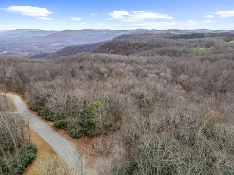 lot23 W Pheasant Chase, Ararat, VA 24053