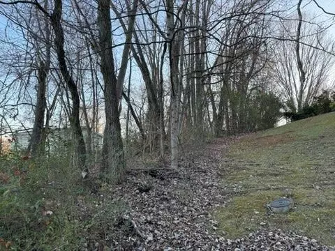 tbd Briscoe Dr, Bristol, VA 24202 photo 4