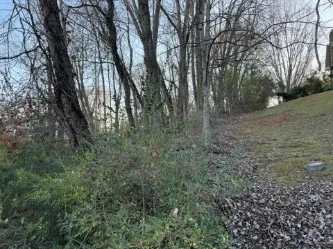 tbd Briscoe Dr, Bristol, VA 24202 photo 6