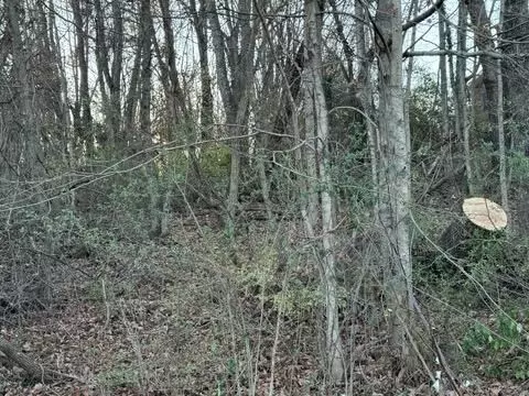 tbd Briscoe Dr, Bristol, VA 24202 photo 3