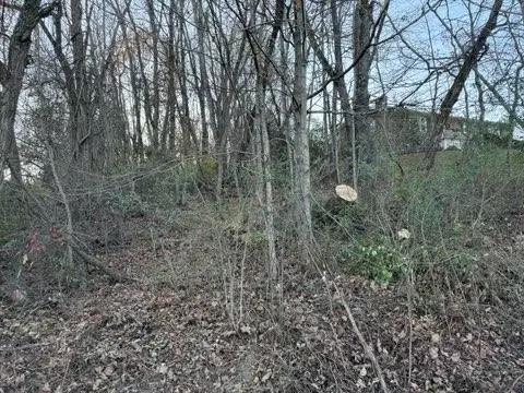 tbd Briscoe Dr, Bristol, VA 24202 photo 7