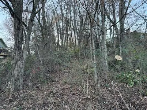 tbd Briscoe Dr, Bristol, VA 24202