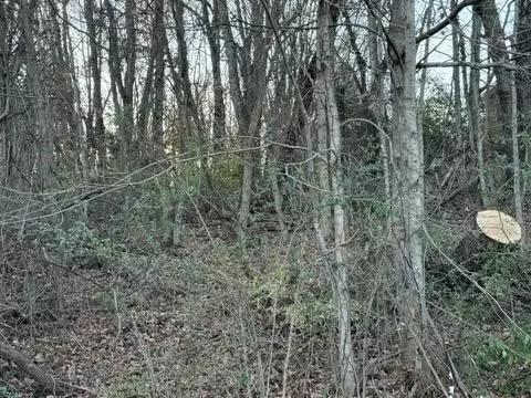 tbd Briscoe Dr, Bristol, VA 24202 photo 2