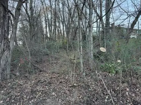 tbd Briscoe Dr, Bristol, VA 24202 photo 5