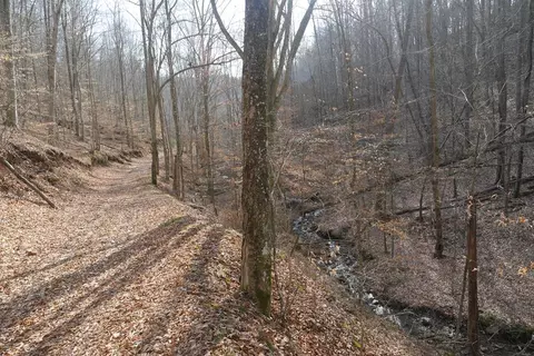 00 Homer Ln, Hiltons, VA 24258