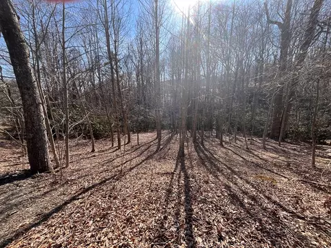 tbd Brookside Tr, Fancy Gap, VA 24328 photo 8