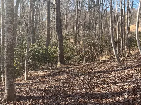 tbd Brookside Tr, Fancy Gap, VA 24328 photo 5