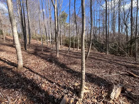 tbd Brookside Tr, Fancy Gap, VA 24328 photo 10