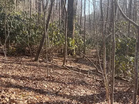 tbd Brookside Tr, Fancy Gap, VA 24328 photo 6