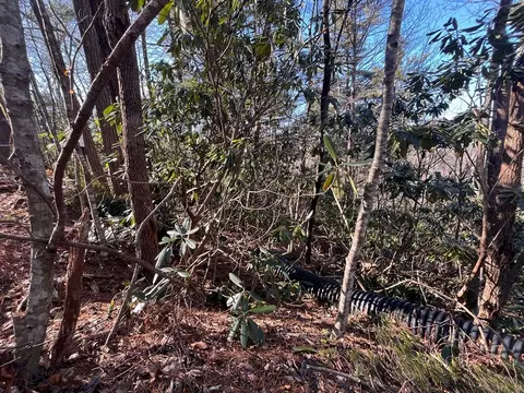tbd Rock Ledge Tr, Fancy Gap, VA 24328 photo 4