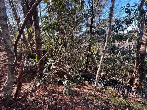 tbd Rock Ledge Tr, Fancy Gap, VA 24328 photo 6