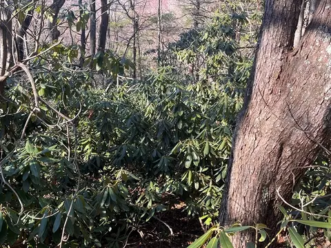 tbd Rock Ledge Tr, Fancy Gap, VA 24328 photo 3