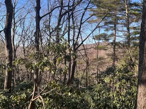 tbd Rock Ledge Tr, Fancy Gap, VA 24328 photo 10