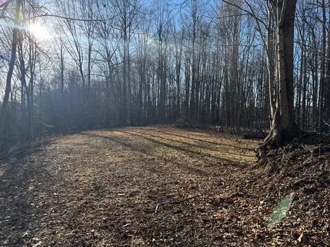 31203 Hardwood Dr, Meadowview, VA 24361
