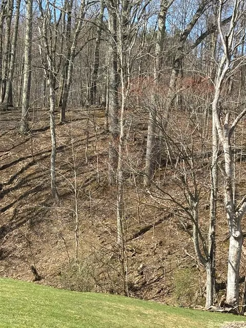 tbd Forest Hills Dr, Pounding Mill, VA 24637