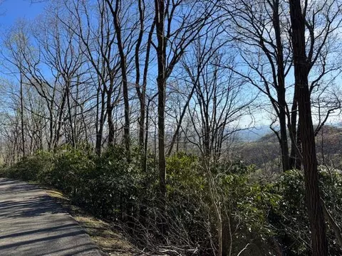 tbd Buck Hollar Rd, Hillsville, VA 24343