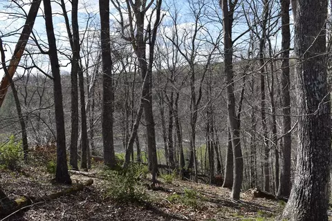 49 Riverside Drive, Sparta, NC 28675 photo 17