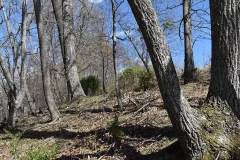 49 Riverside Drive, Sparta, NC 28675 photo 18