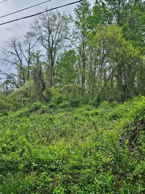 00 Euclid Ave, Marion, VA 24354