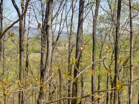 tbd Yellow Locust Dr, Fancy Gap, VA 24328