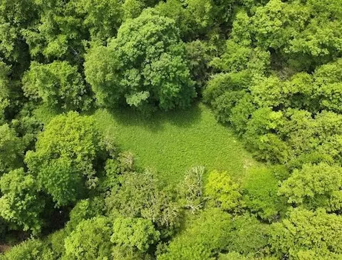 tbd Buffalow Hollow Rd, Castlewood, VA 24224