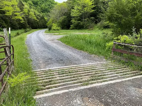 tbd Seven Springs Hlw Rd, Castlewood, VA 24224