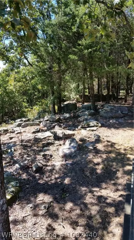 5109 Stagecoach Rd, Ozark, AR 72949 photo 12