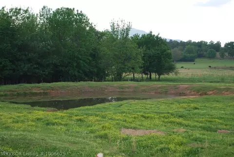 2558 W Highway 96, Mansfield, AR 72944 photo 27