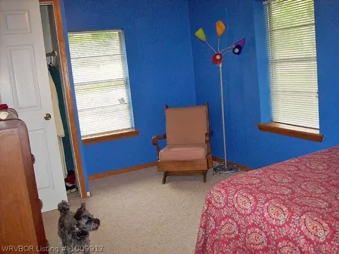 116 Corley Loop, Paris, AR 72855 photo 7