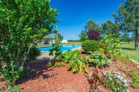 14607 Wildflower Loop, Fort Smith, AR 72916 photo 3