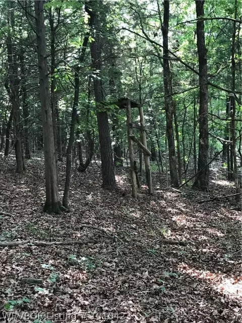 14418 Mayner, Ozark, AR 72949 photo 6