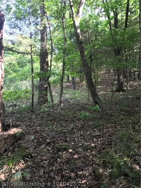 14418 Mayner, Ozark, AR 72949 photo 3