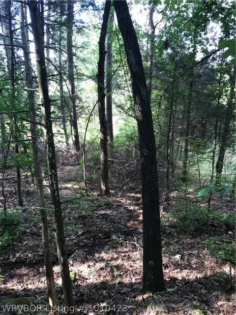 14418 Mayner, Ozark, AR 72949 photo 4
