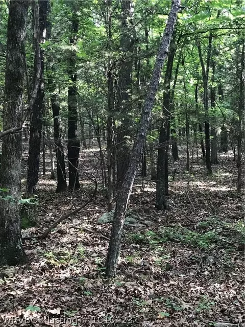 14418 Mayner, Ozark, AR 72949 photo 7