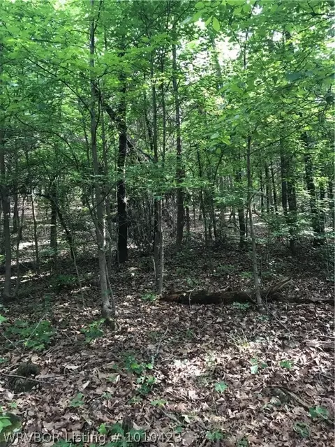 14418 Mayner, Ozark, AR 72949 photo 5