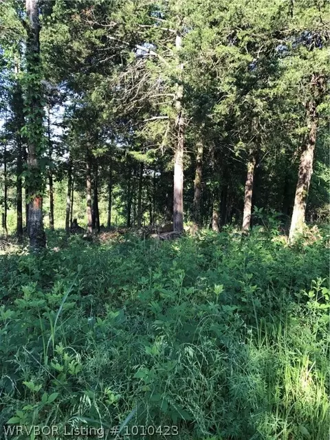 14418 Mayner, Ozark, AR 72949 photo 8