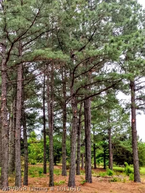 6808 Shaver Rd, Lavaca, AR 72941 photo 30