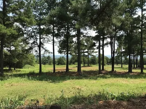 6808 Shaver Rd, Lavaca, AR 72941 photo 10