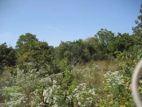111149 S 4675, Gans, OK 74936 photo 5