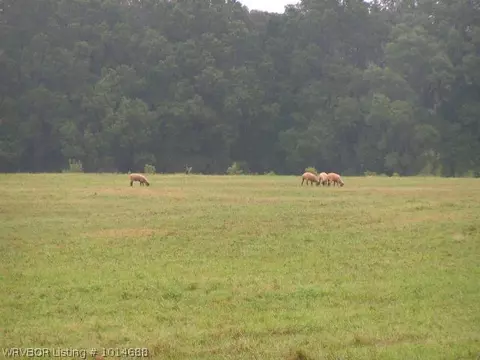 2162 Short Mt Rd, Paris, AR 72855 photo 9