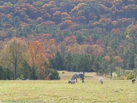 2162 Short Mt Rd, Paris, AR 72855 photo 8