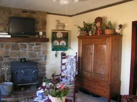 2162 Short Mt Rd, Paris, AR 72855 photo 3