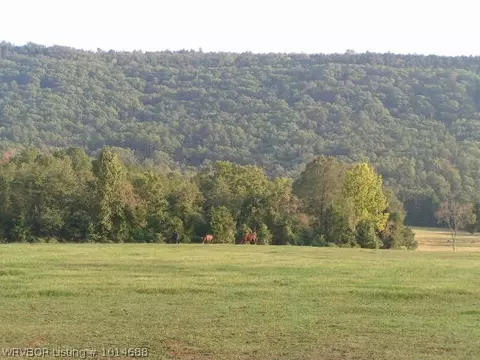 2162 Short Mt Rd, Paris, AR 72855 photo 10