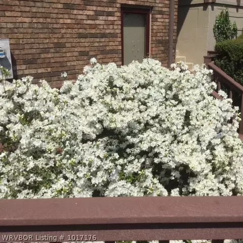 1917 Massard Rd, Fort Smith, AR 72903 photo 7