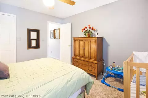 310 Wilburn Hts, Central City, AR 72941 photo 23