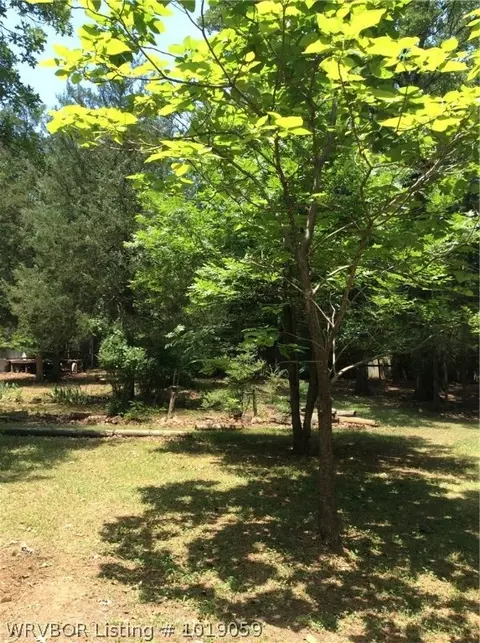 9407 Southshore Dr, Hackett, AR 72937 photo 2